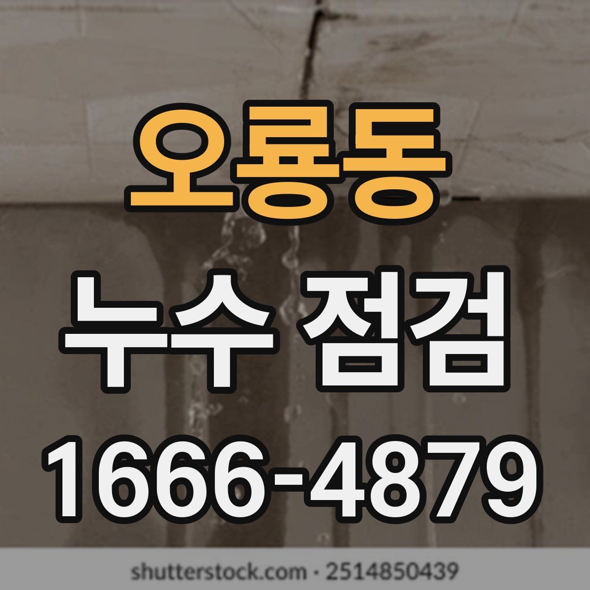 오룡동 누수 점검