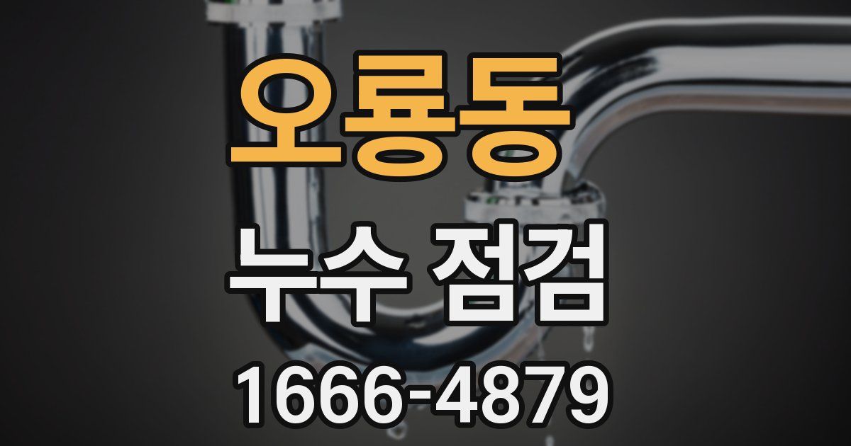 오룡동 누수 점검