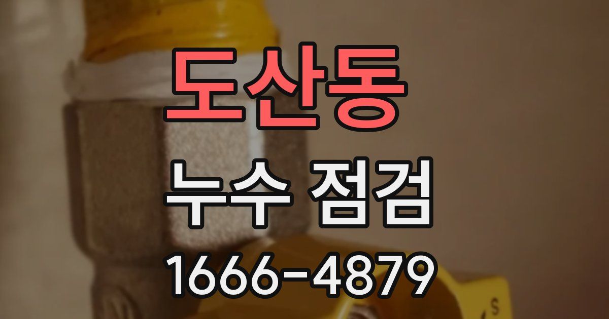 도산동 누수 점검