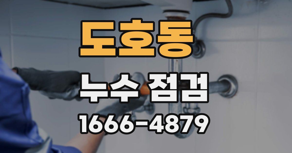 도호동 누수 점검