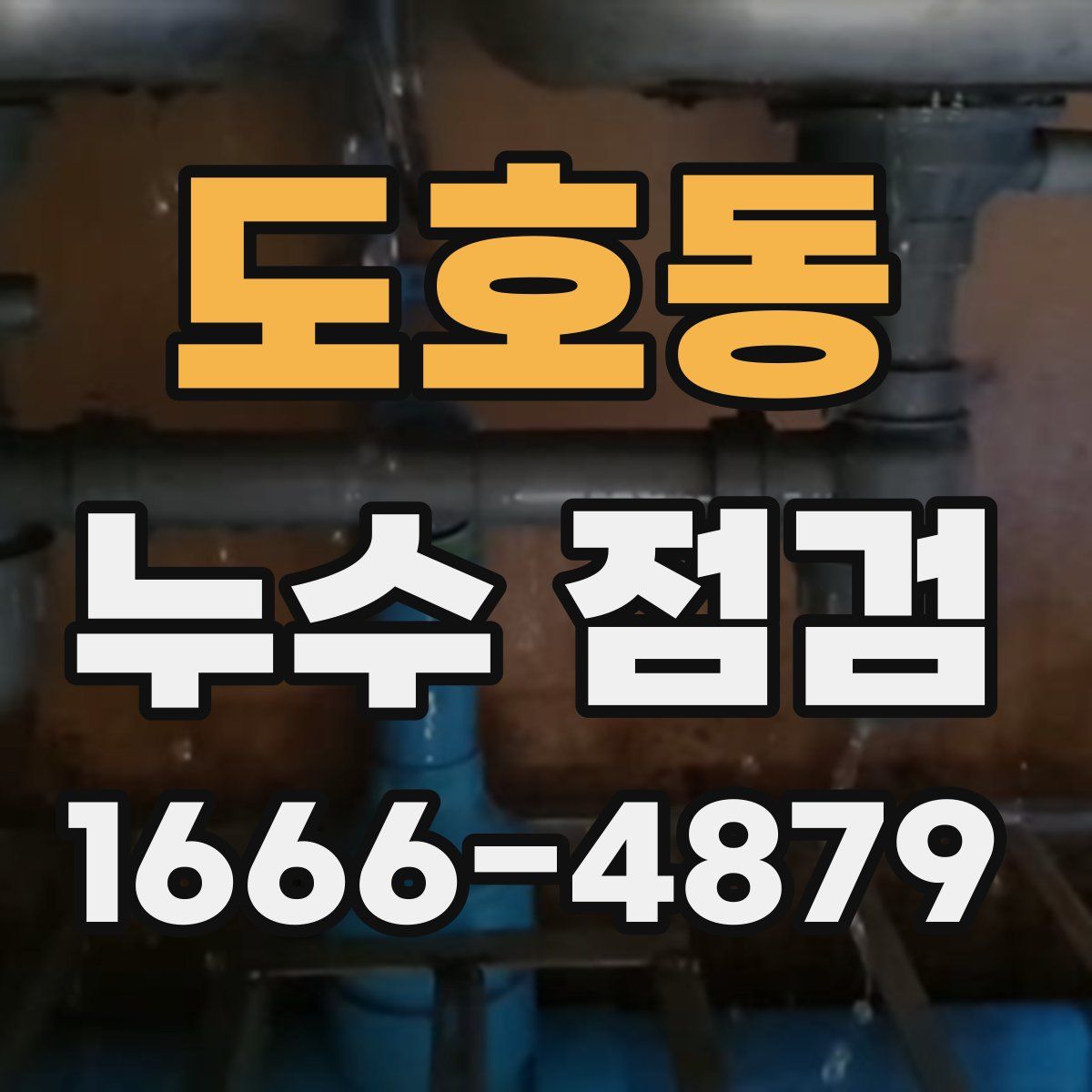 도호동 누수 점검