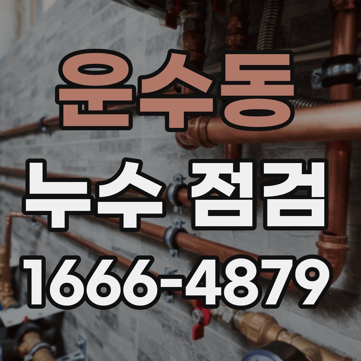 운수동 누수 점검