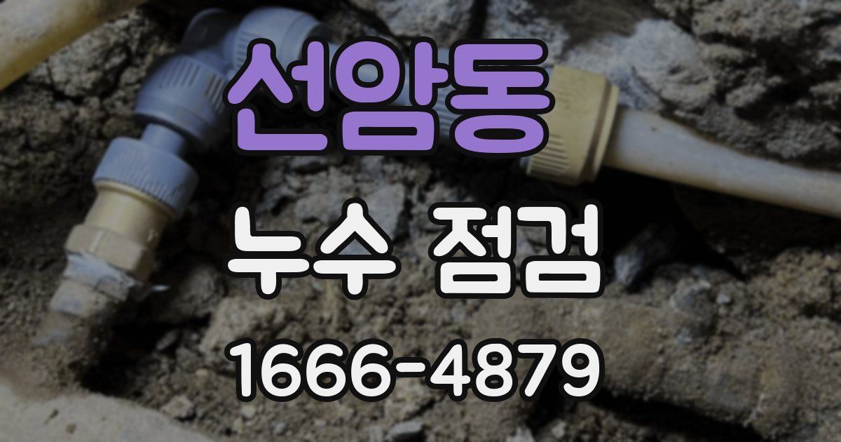 선암동 누수 점검