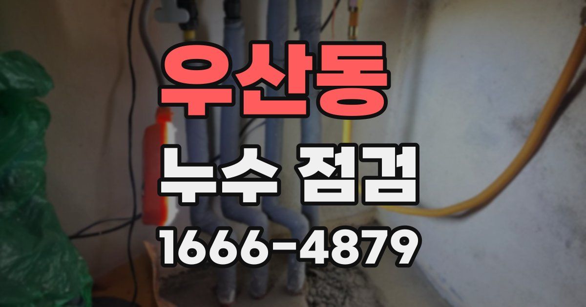 우산동 누수 점검
