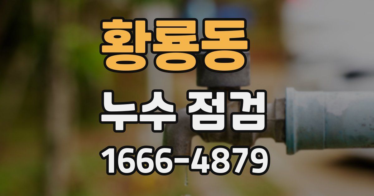 황룡동 누수 점검