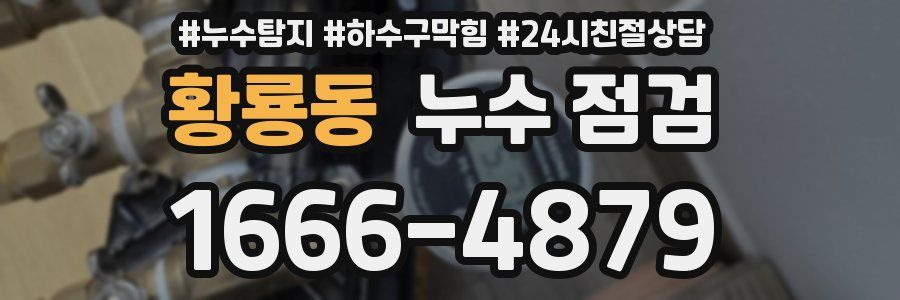 황룡동 누수 점검