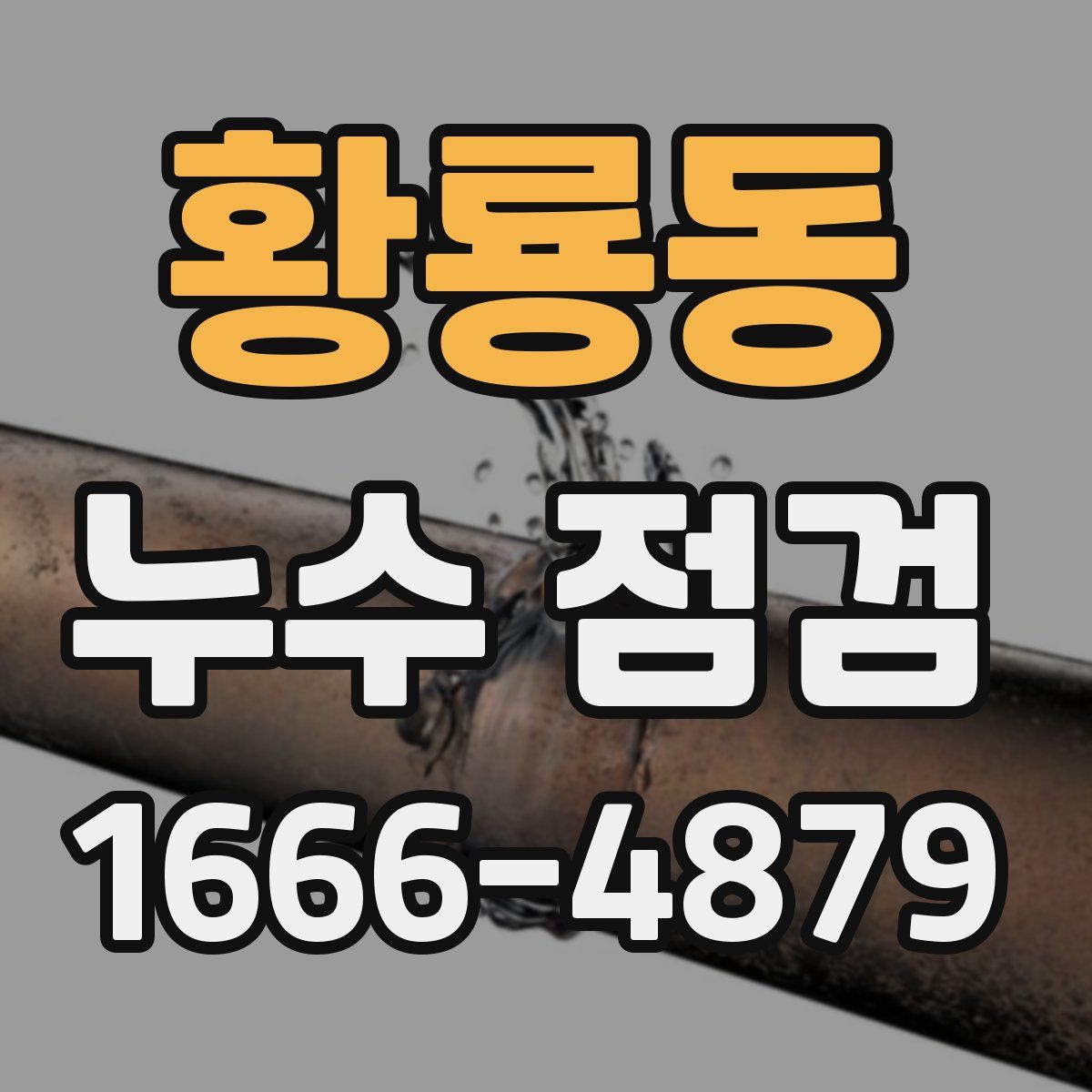 황룡동 누수 점검