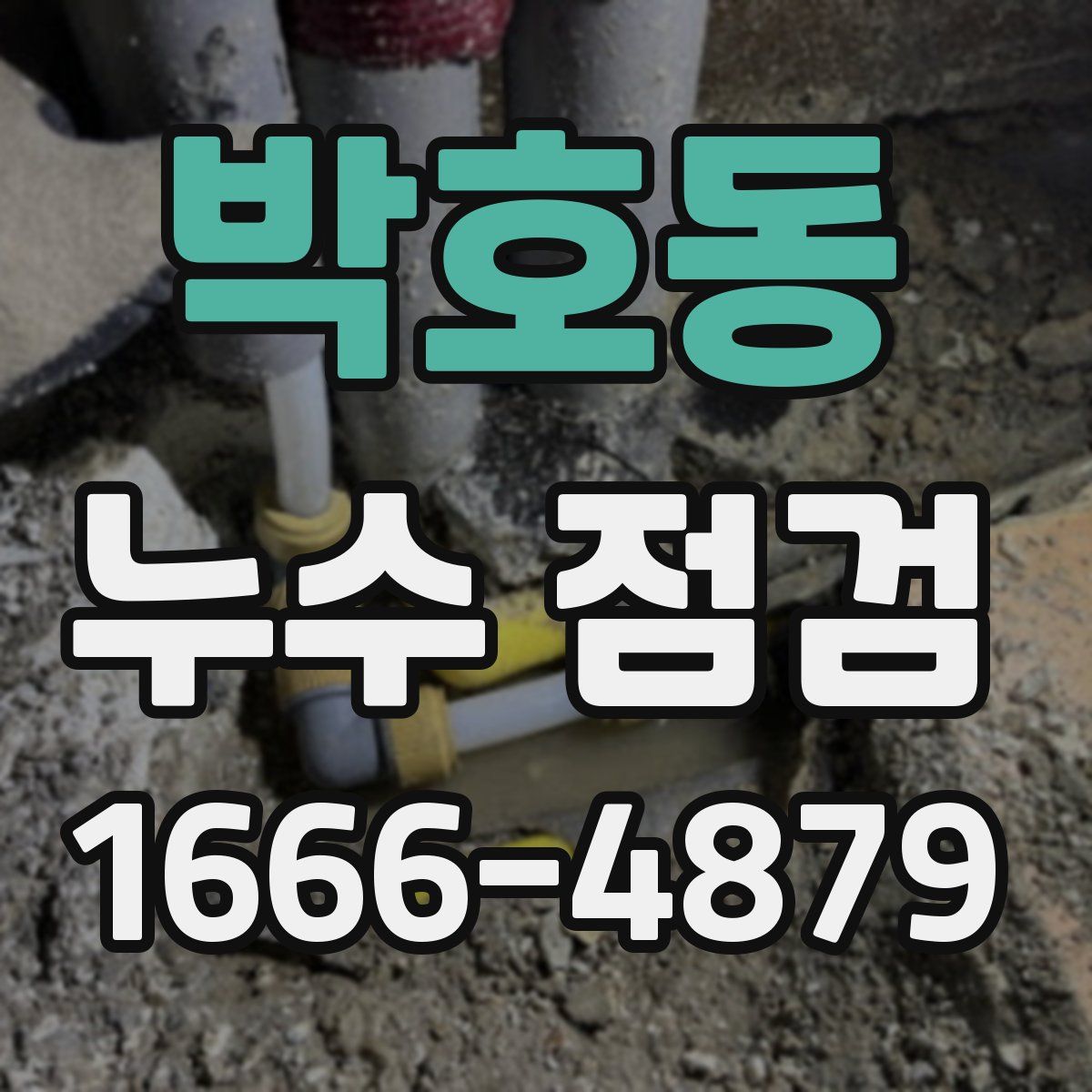 박호동 누수 점검