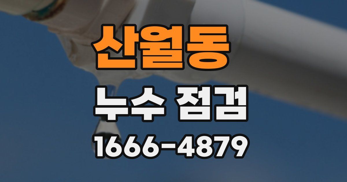 산월동 누수 점검