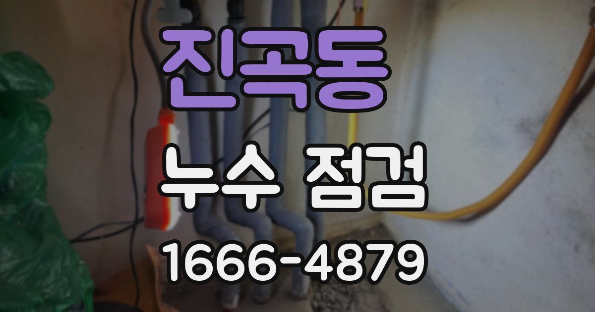 진곡동 누수 점검