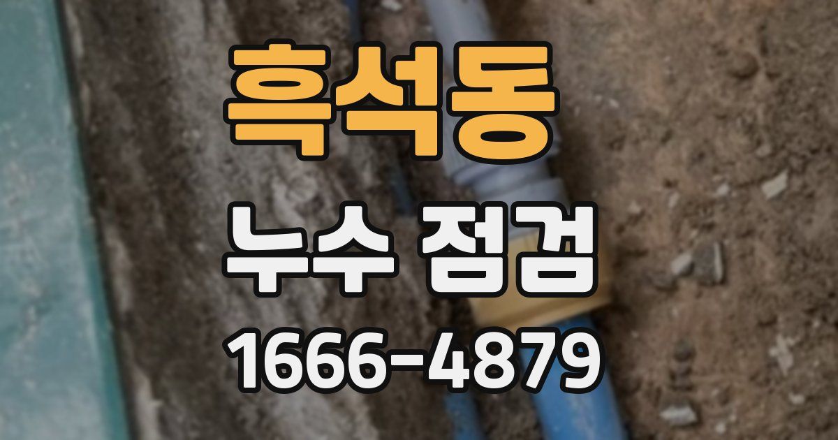 흑석동 누수 점검
