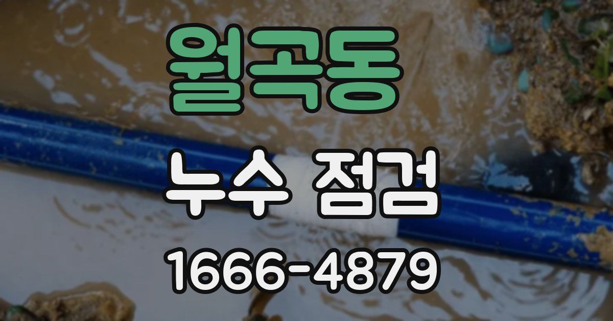 월곡동 누수 점검