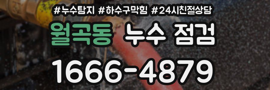 월곡동 누수 점검
