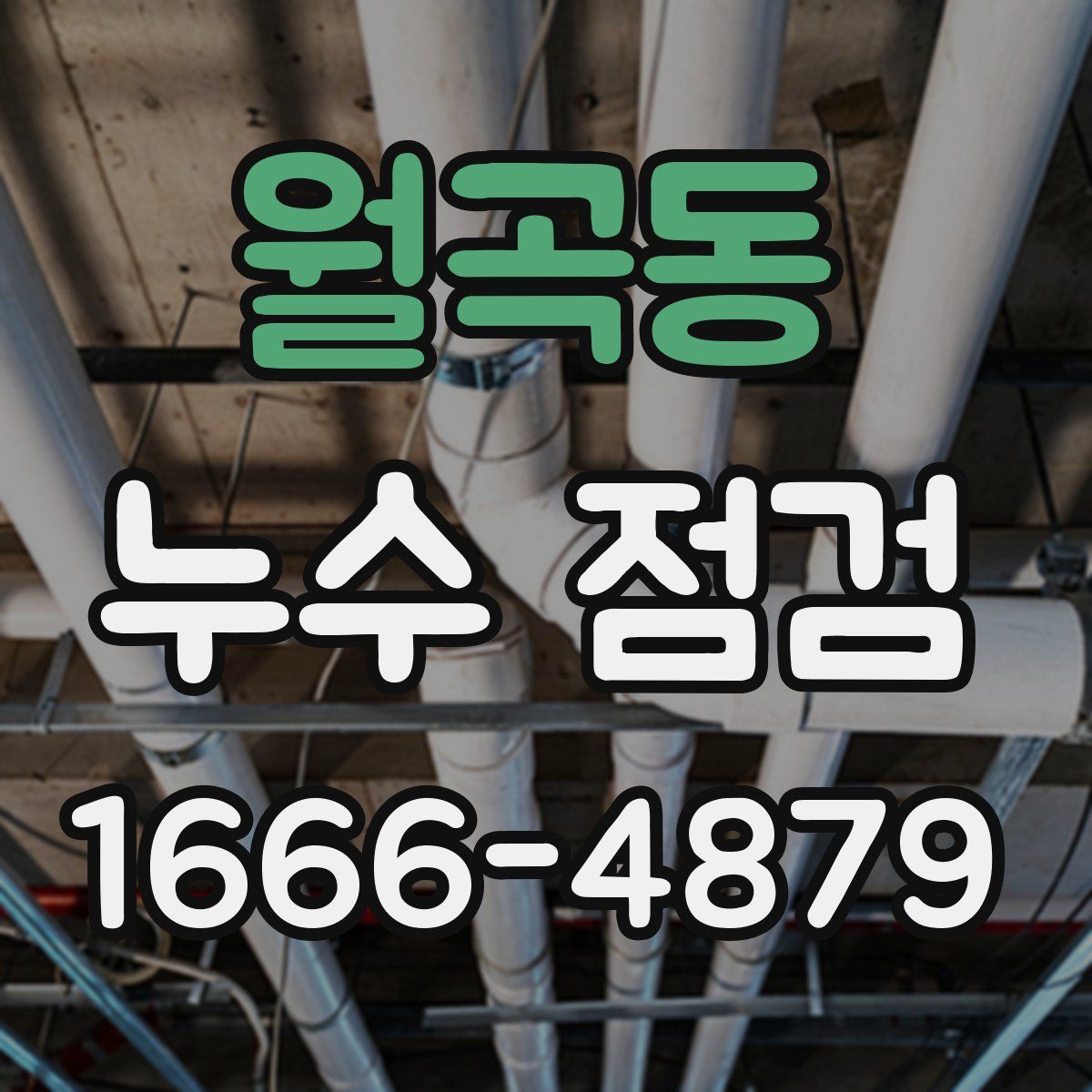 월곡동 누수 점검