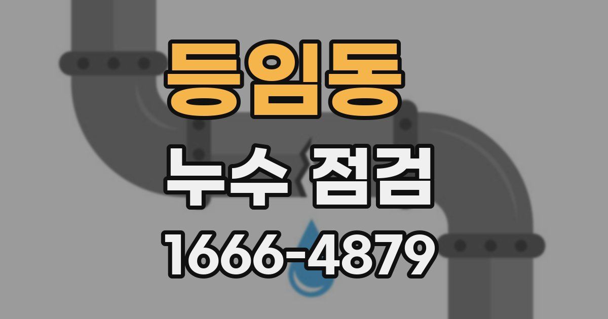 등임동 누수 점검