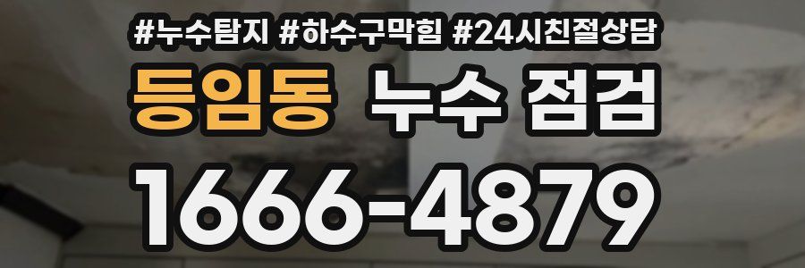 등임동 누수 점검