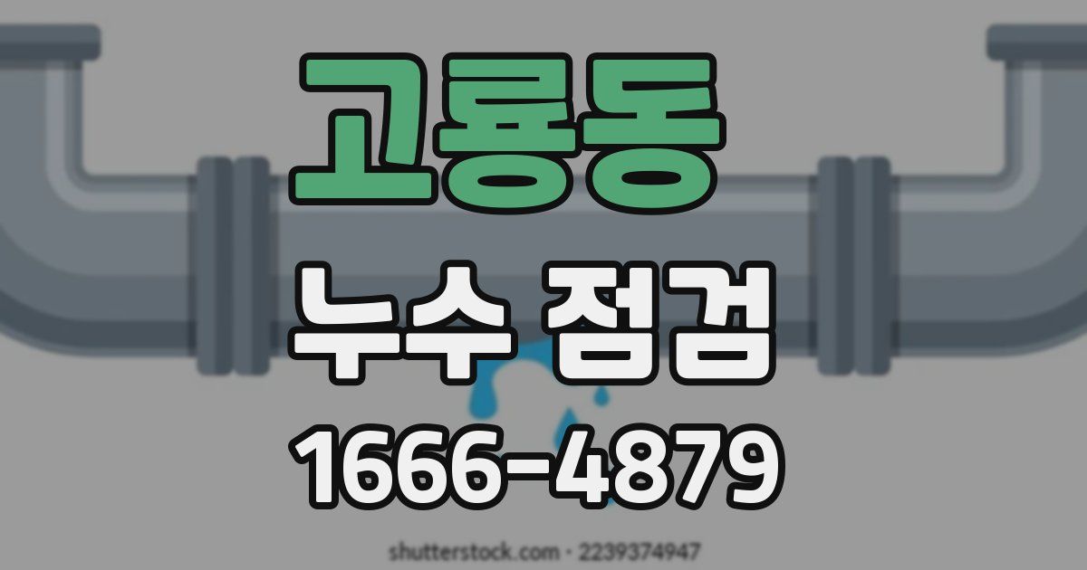 고룡동 누수 점검