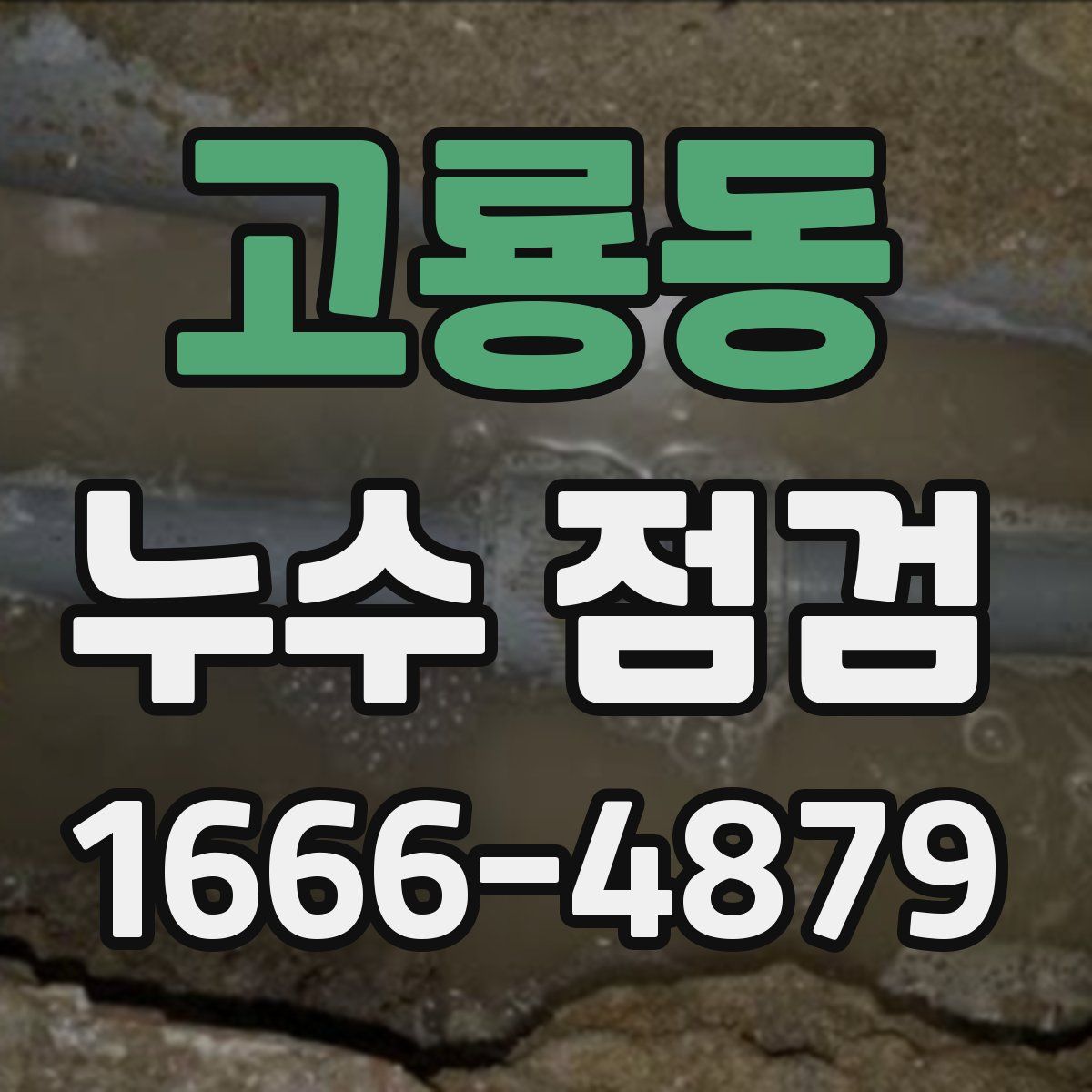 고룡동 누수 점검