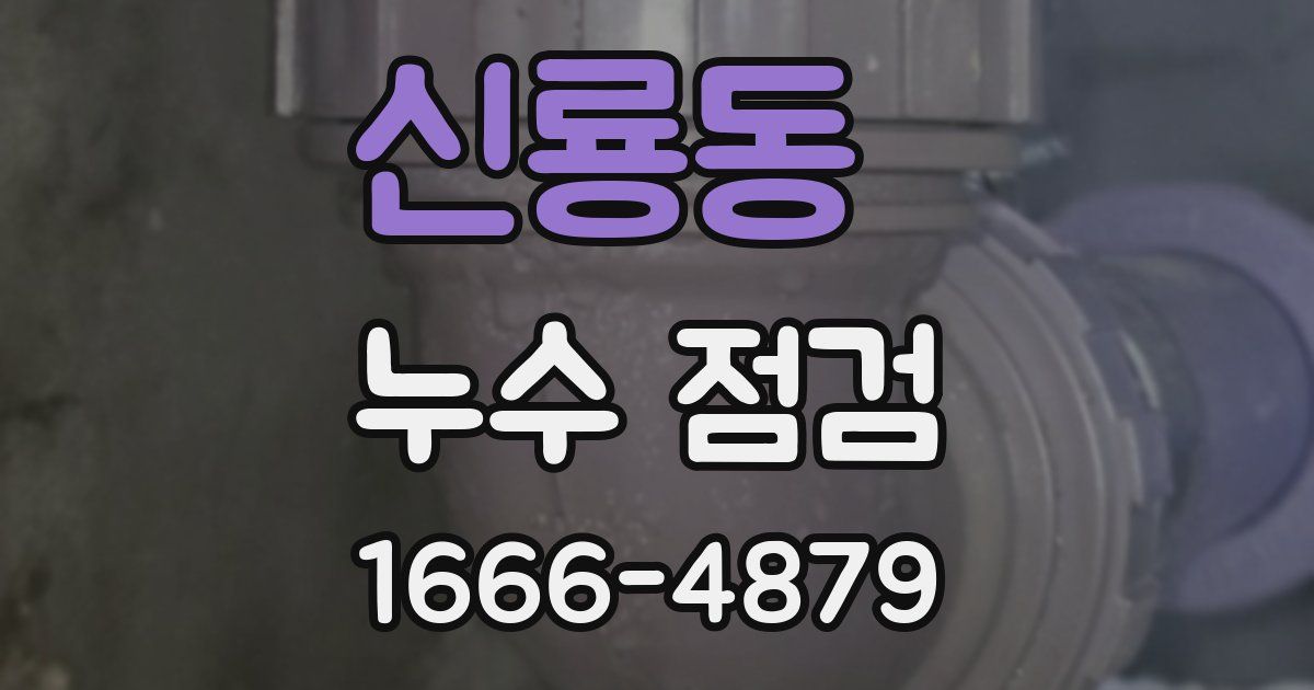 신룡동 누수 점검
