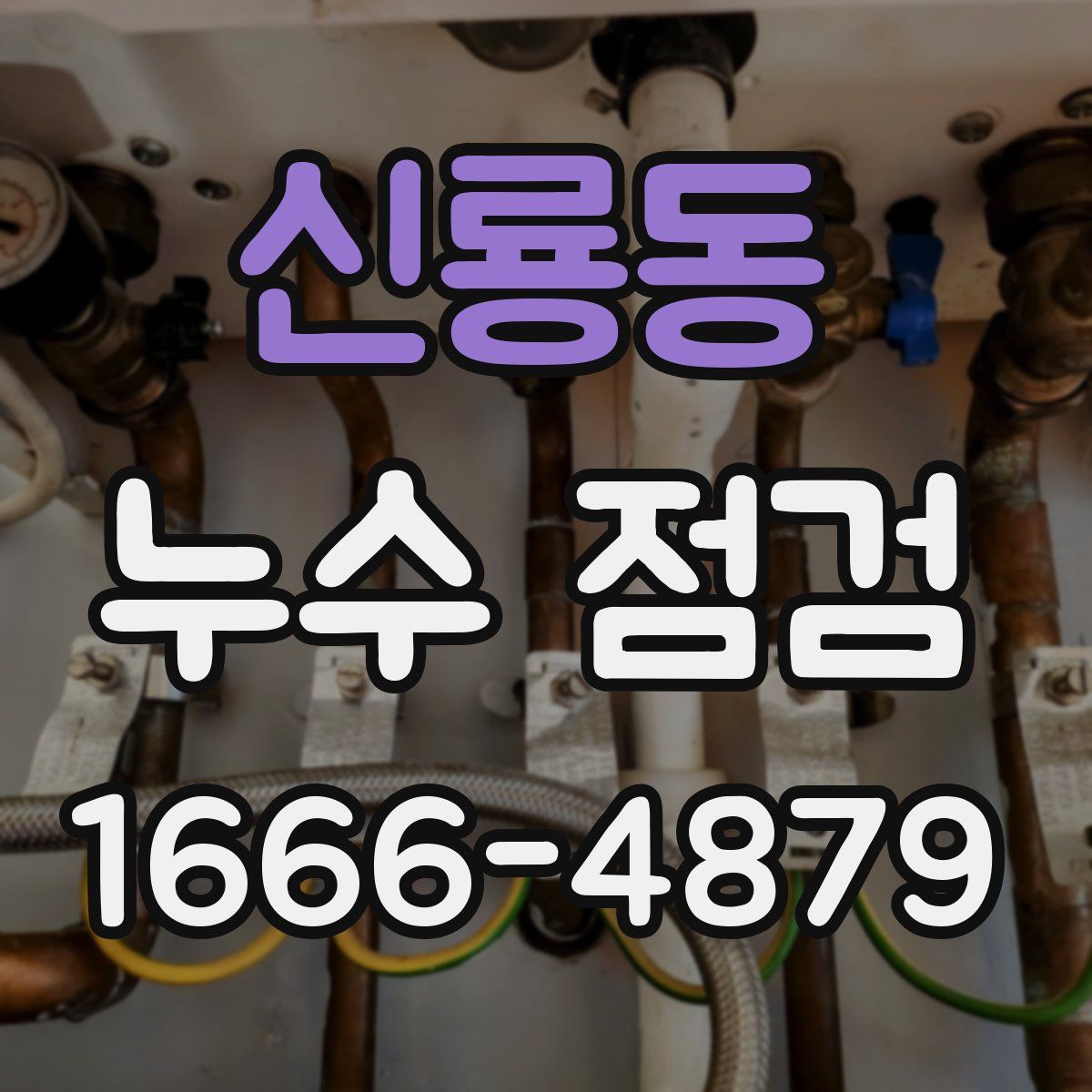 신룡동 누수 점검