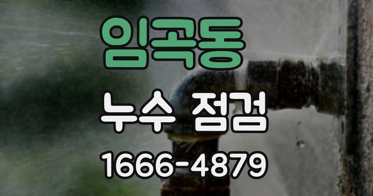 임곡동 누수 점검