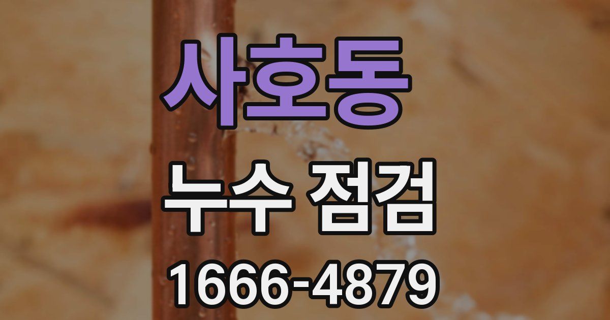사호동 누수 점검