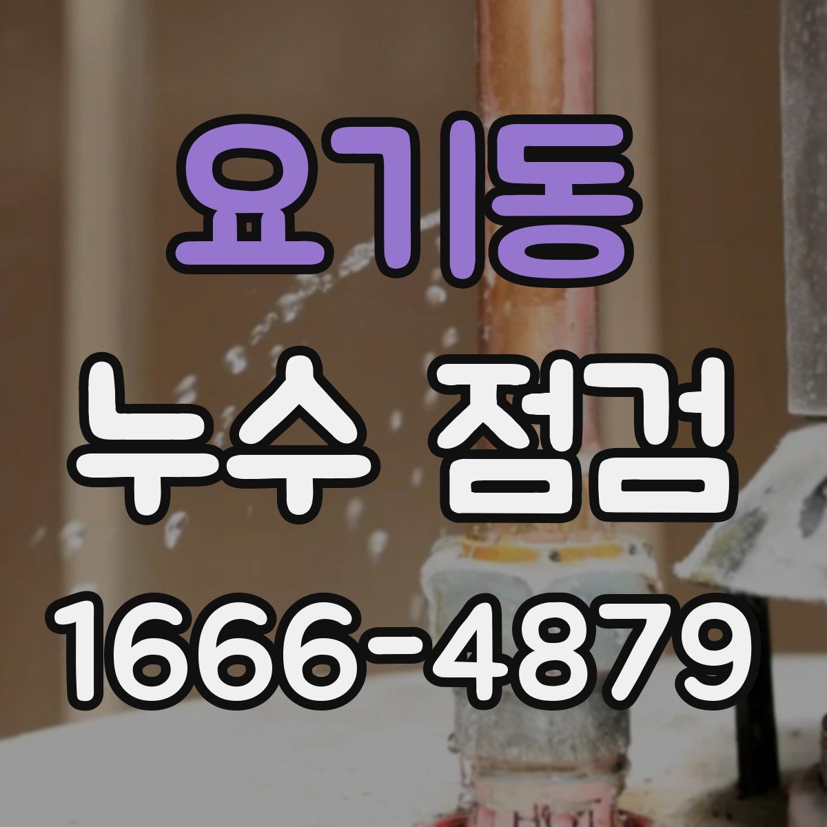 요기동 누수 점검