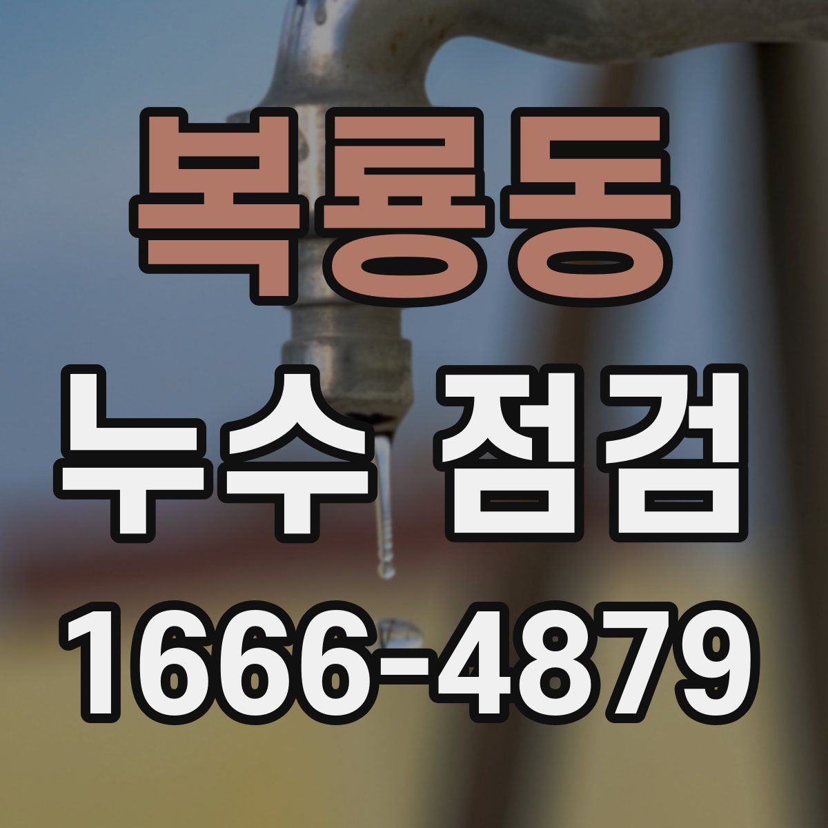 복룡동 누수 점검