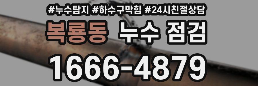 복룡동 누수 점검