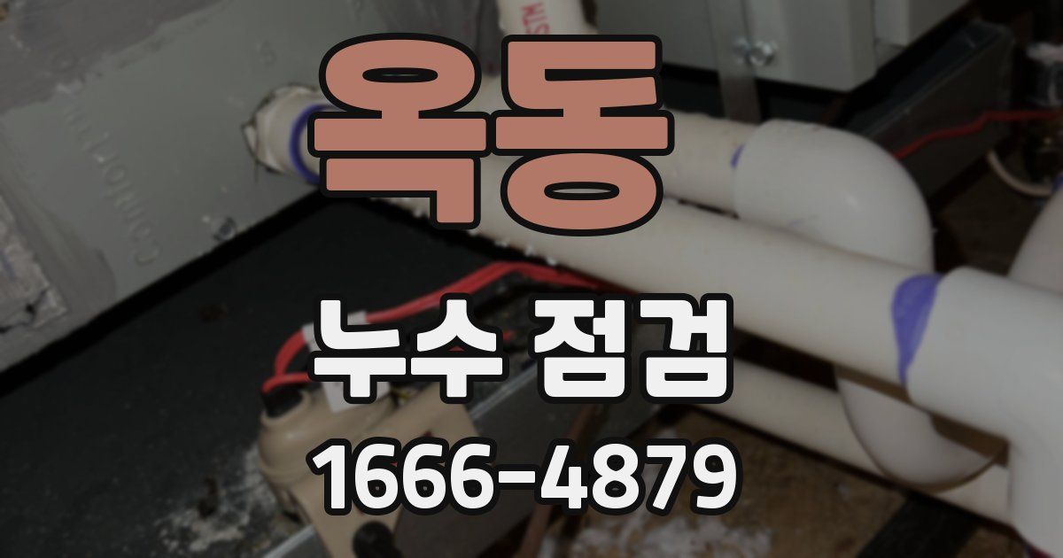 옥동 누수 점검