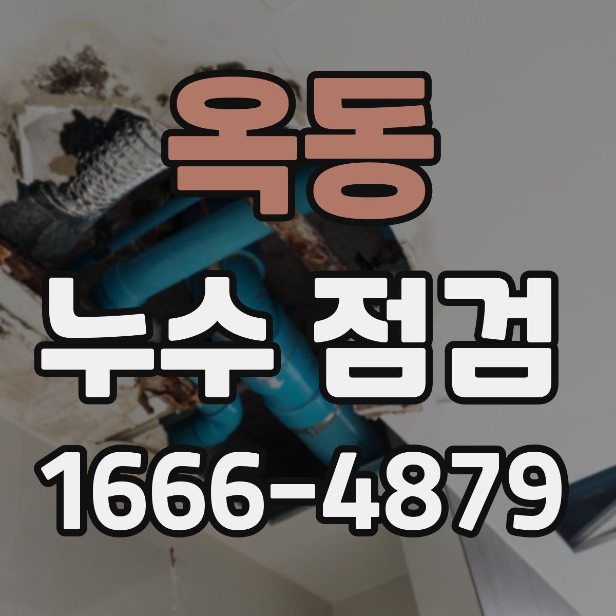 옥동 누수 점검