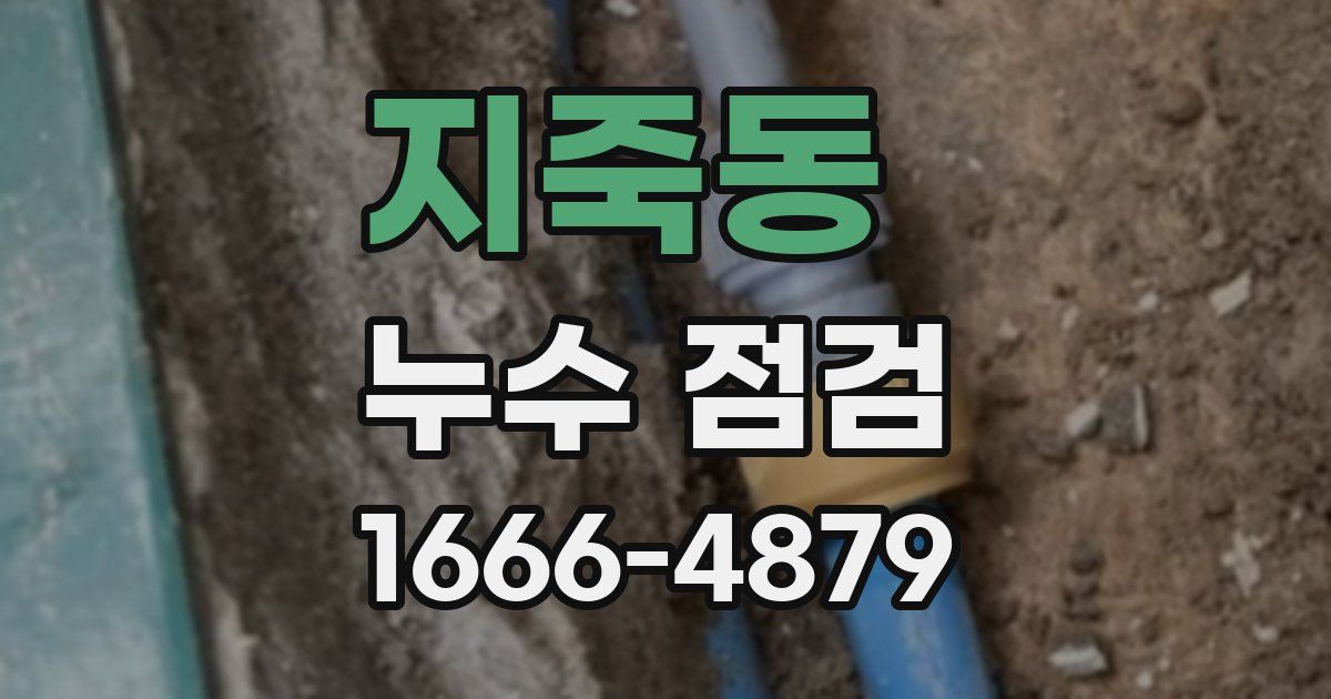 지죽동 누수 점검