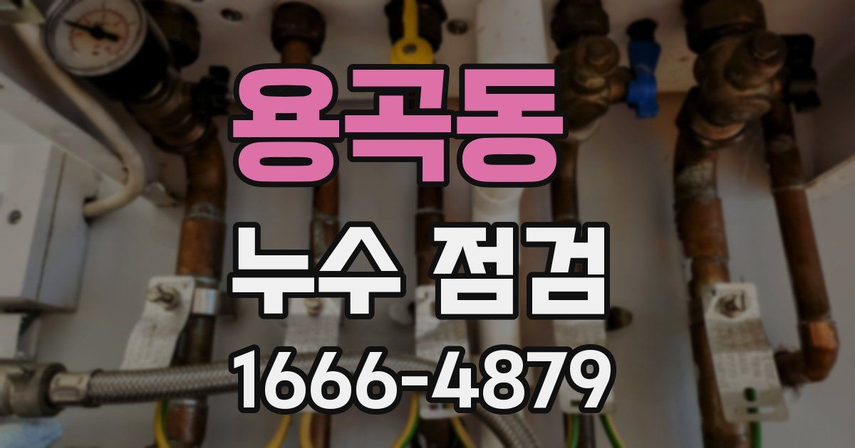 용곡동 누수 점검