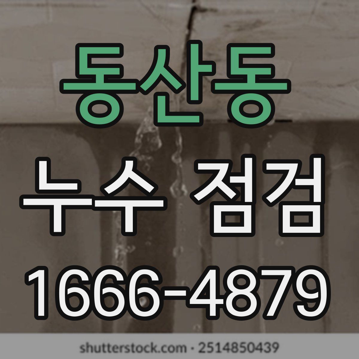 동산동 누수 점검