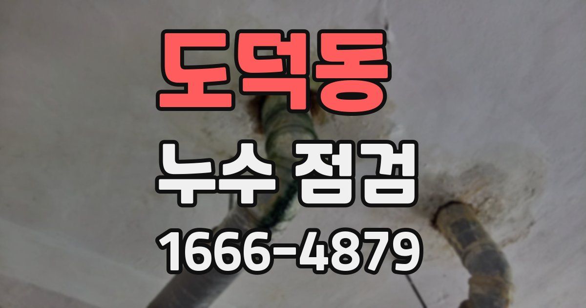 도덕동 누수 점검