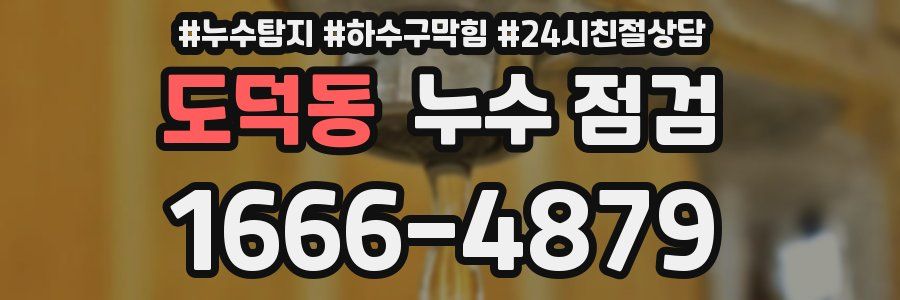 도덕동 누수 점검