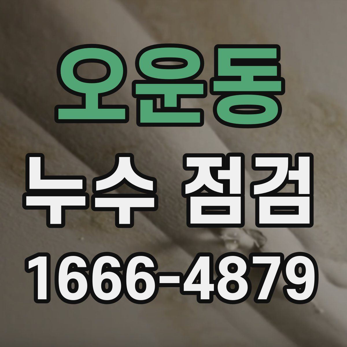 오운동 누수 점검