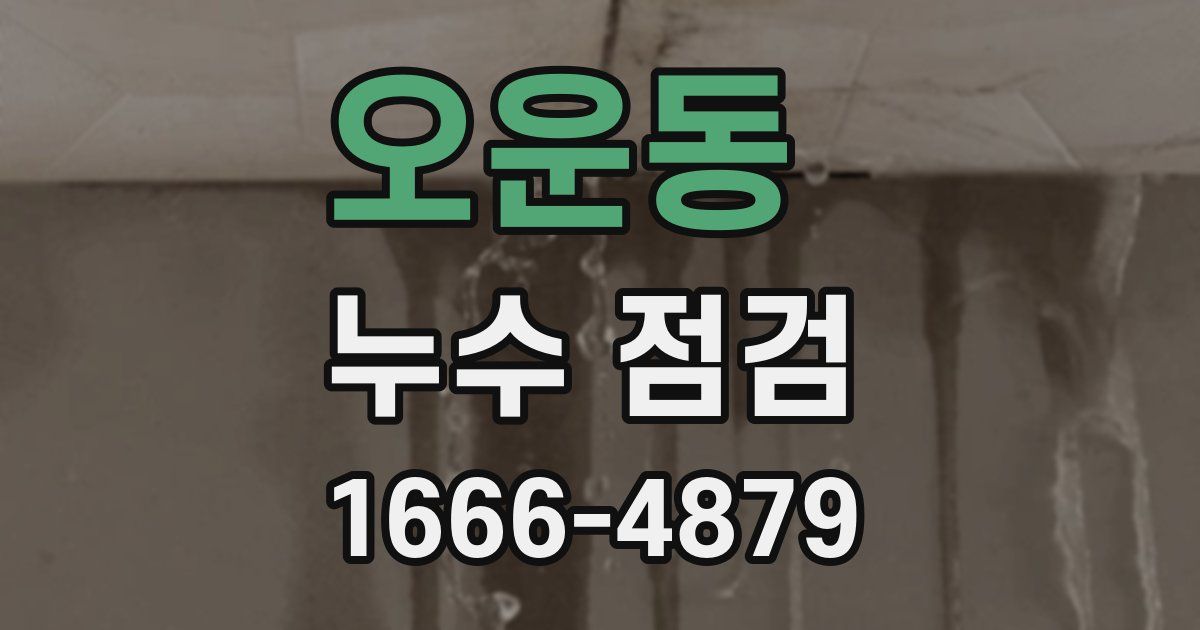 오운동 누수 점검