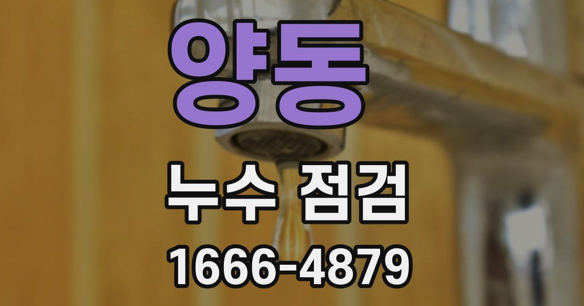 양동 누수 점검