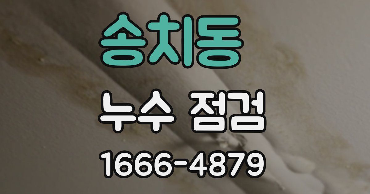 송치동 누수 점검