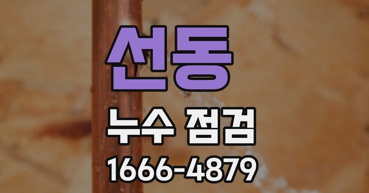 선동 누수 점검