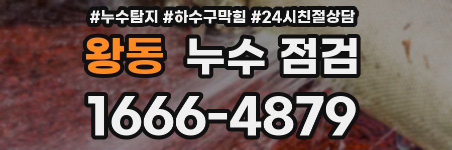 왕동 누수 점검