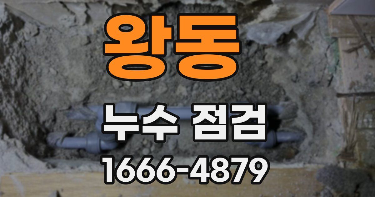 왕동 누수 점검