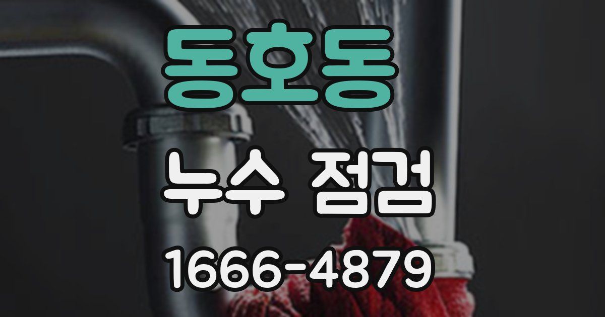 동호동 누수 점검