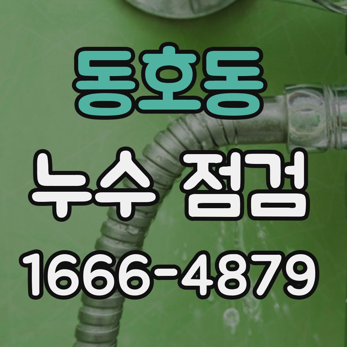 동호동 누수 점검