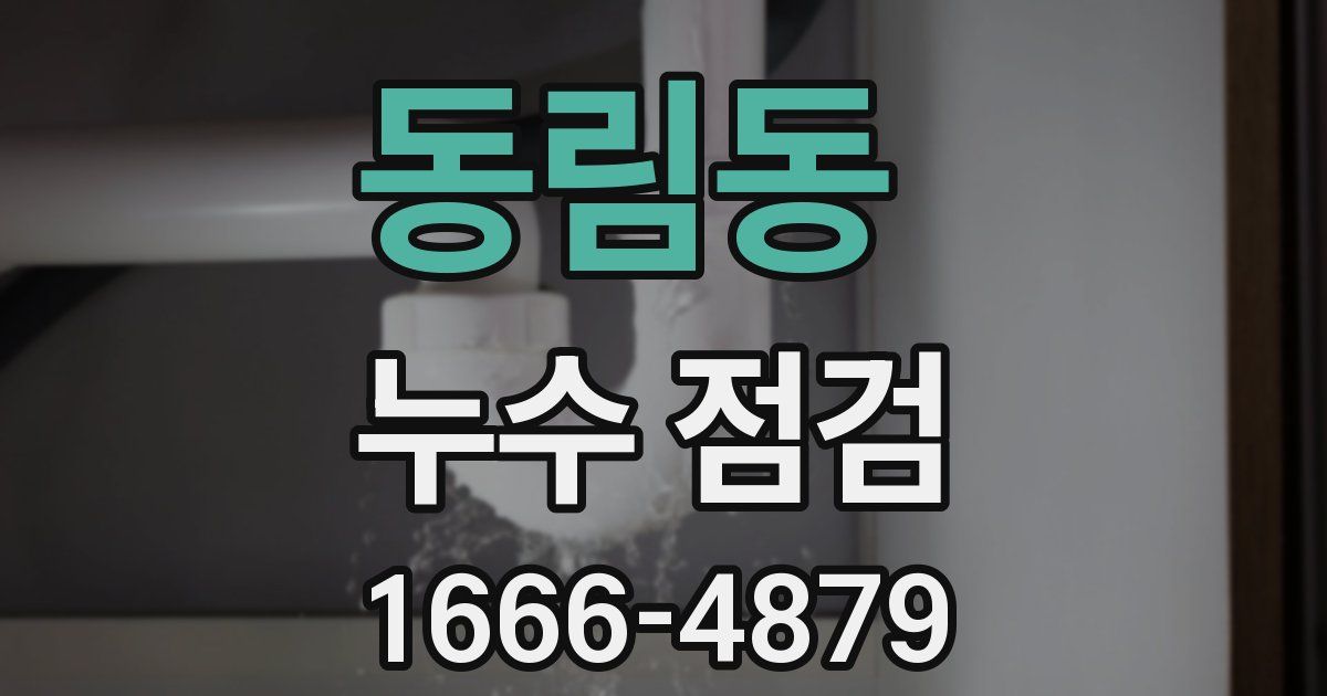 동림동 누수 점검