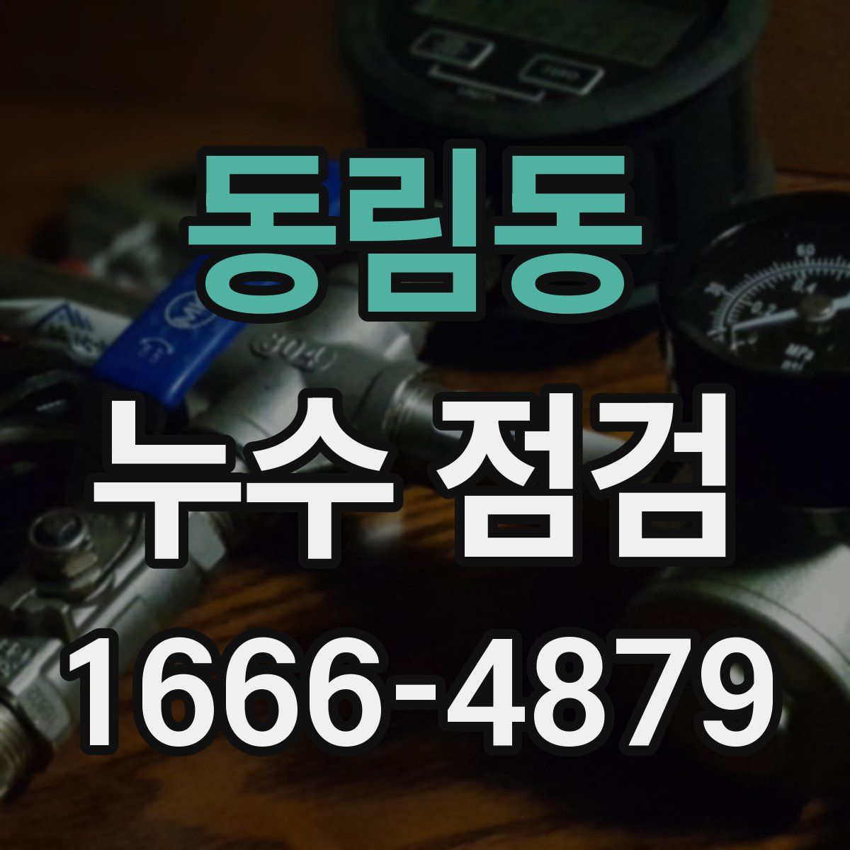 동림동 누수 점검