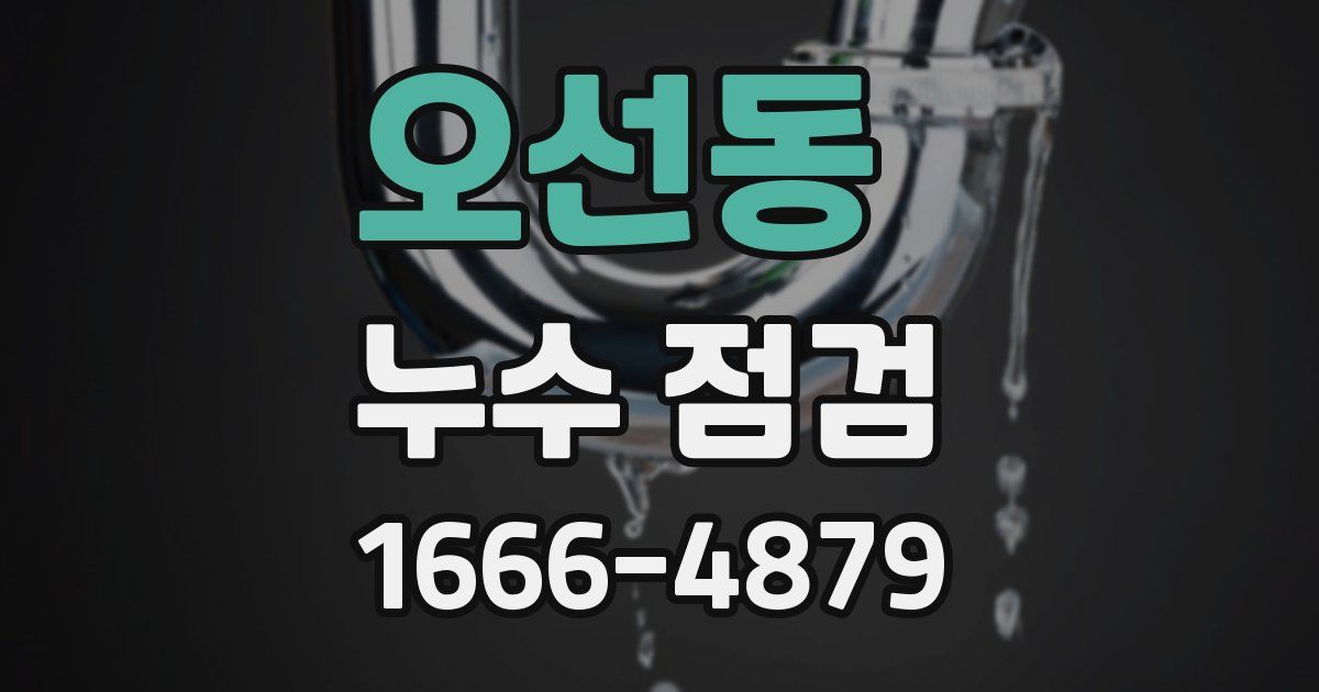 오선동 누수 점검
