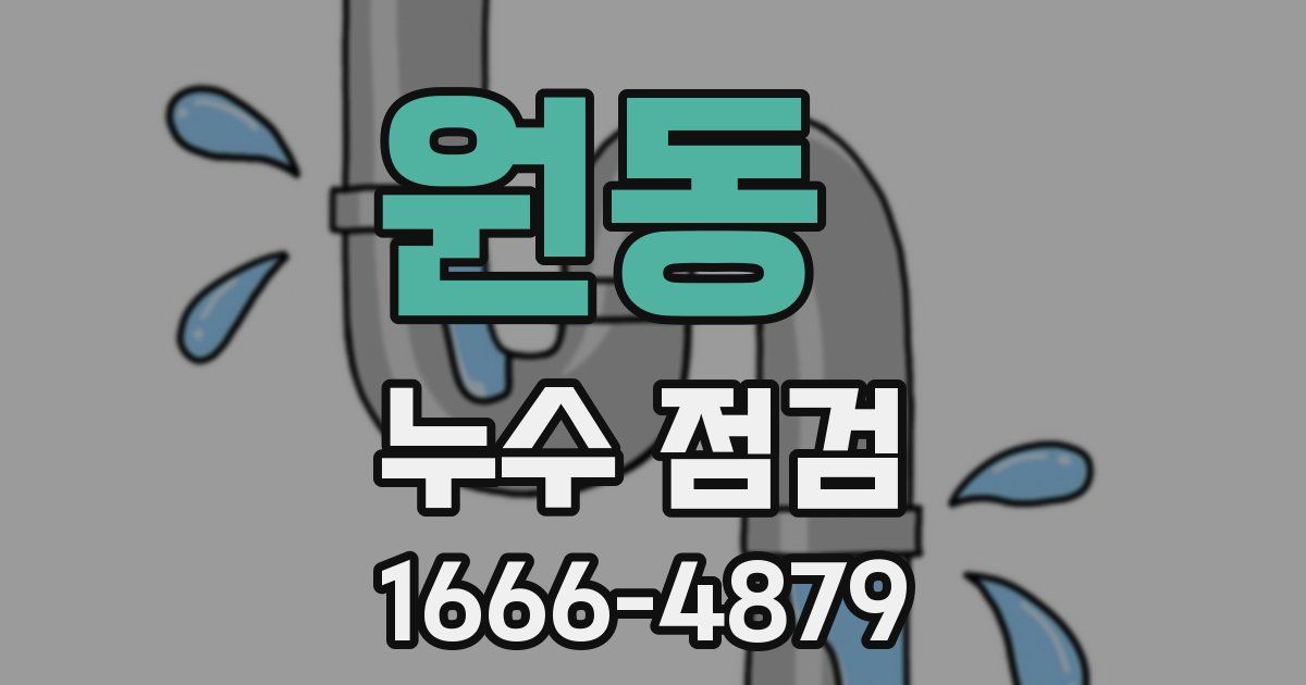 원동 누수 점검
