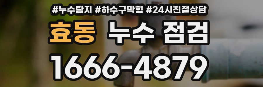 효동 누수 점검